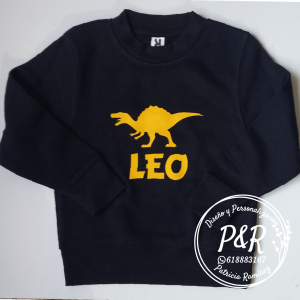 Sudadera niño mod. dino nombre